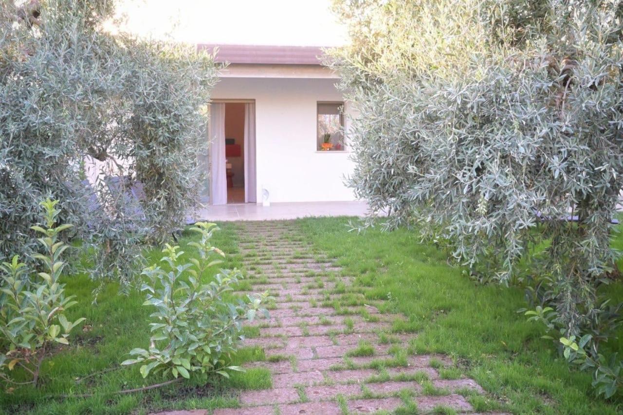 Bed and Breakfast I Secolari à Sannicandro di Bari Extérieur photo